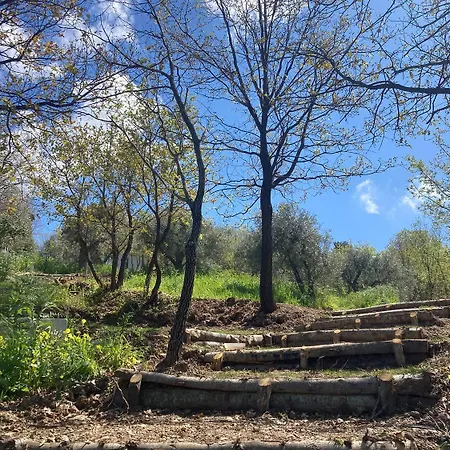 Tenuta Petra